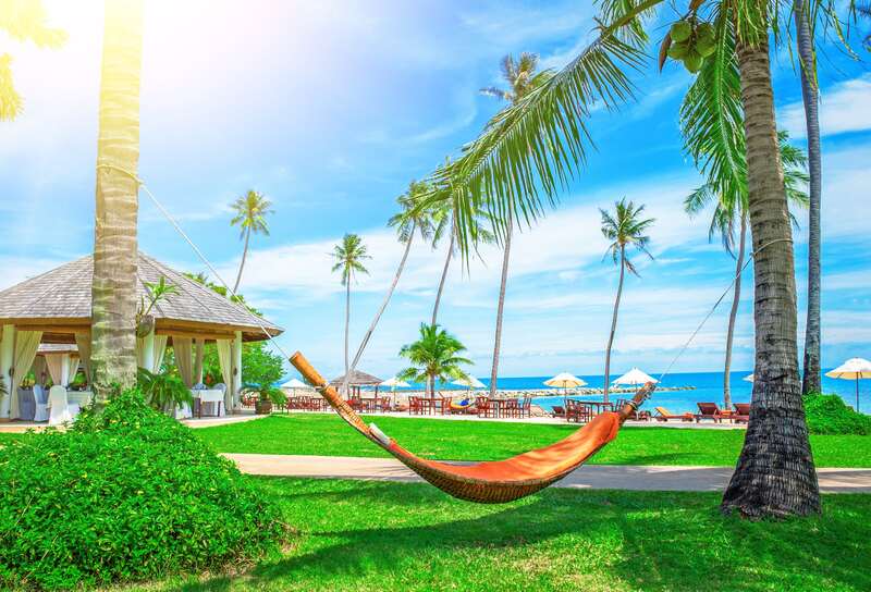 Colorful hammock between palm trees